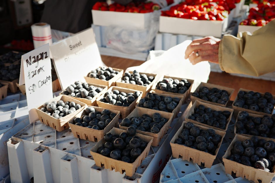 Close-up view of a market stall displaying fresh blueberries arranged in small, open wooden cartons on a white plastic surface. The blueberries vary in size and are deep blue with a slightly frosted a